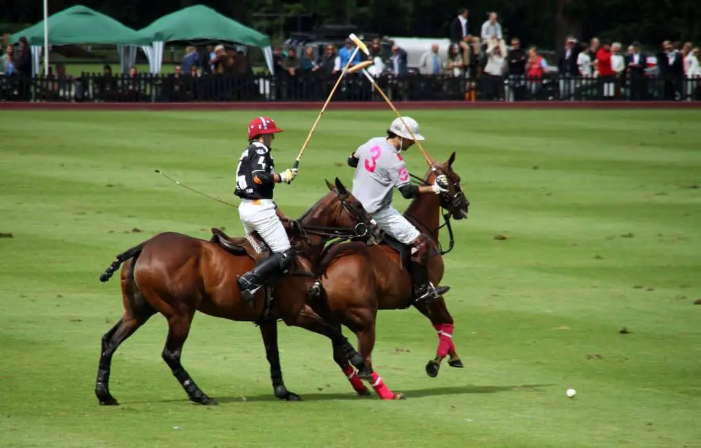 Why Is Polo No Longer An Olympic Sport?