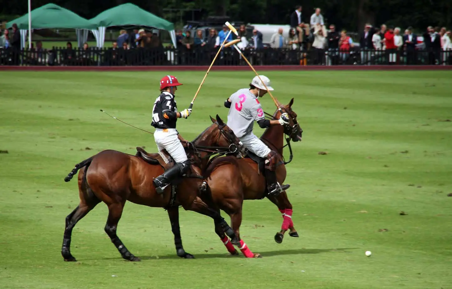 Why Is Polo No Longer An Olympic Sport? The Future of Polo