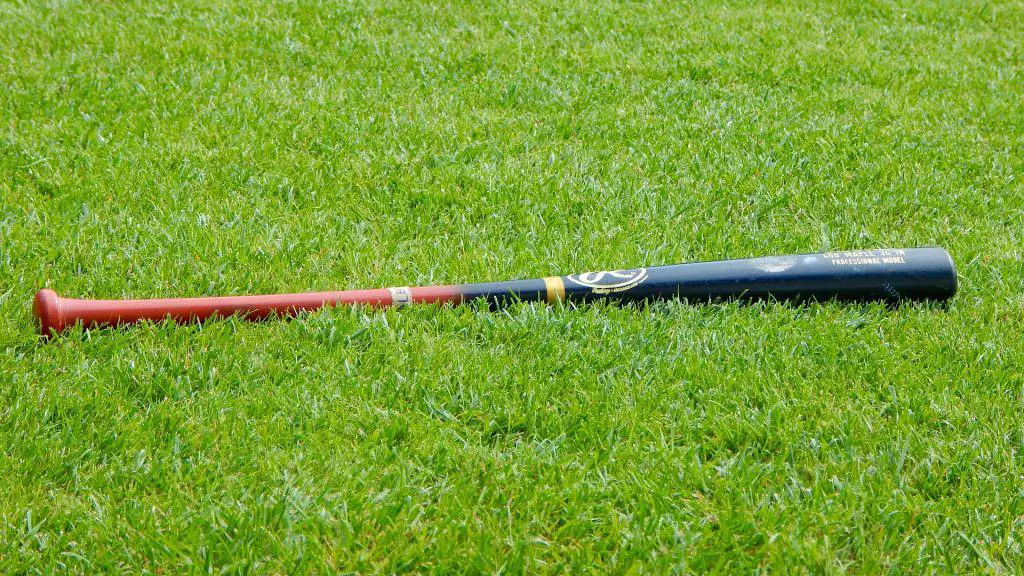 Can You Use A Baseball Bat For Softball? The Main Differences Between ...