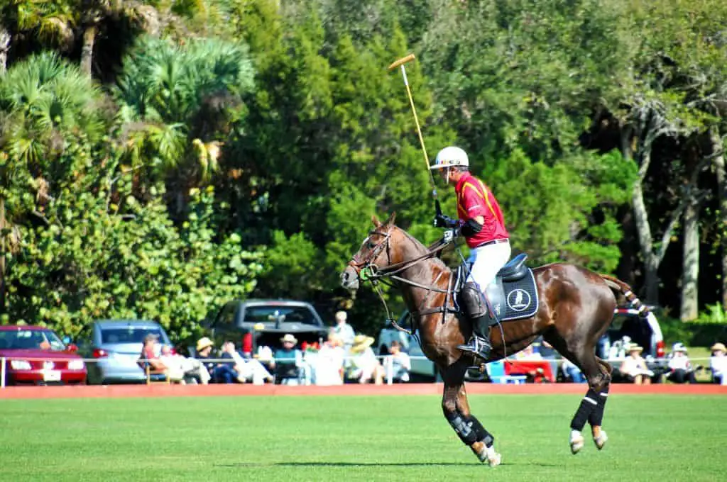 Can You Play Polo If You're Left Handed?
