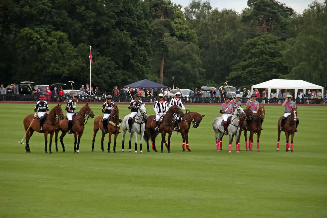 How Much Does It Cost to Play Polo? A Comprehensive Guide