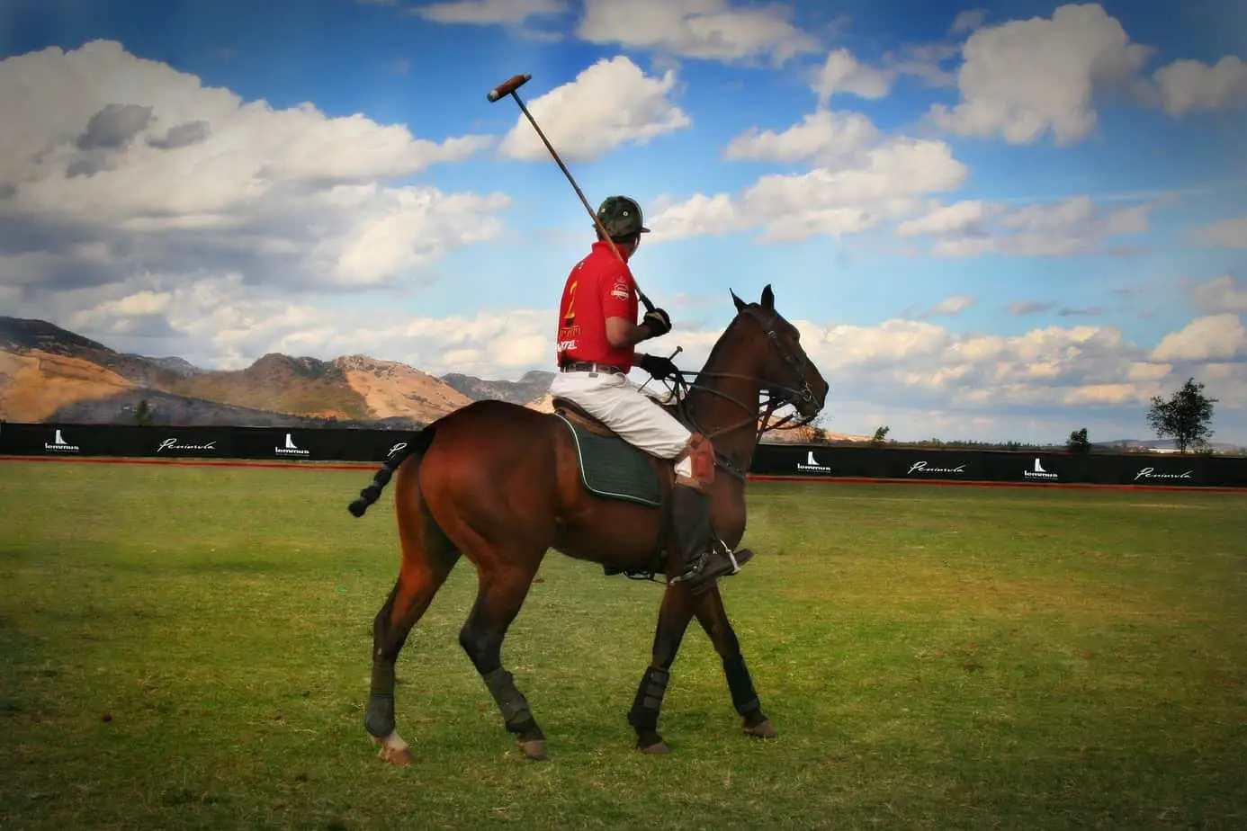 Can Polo Be Played in the Rain? The Truth Revealed