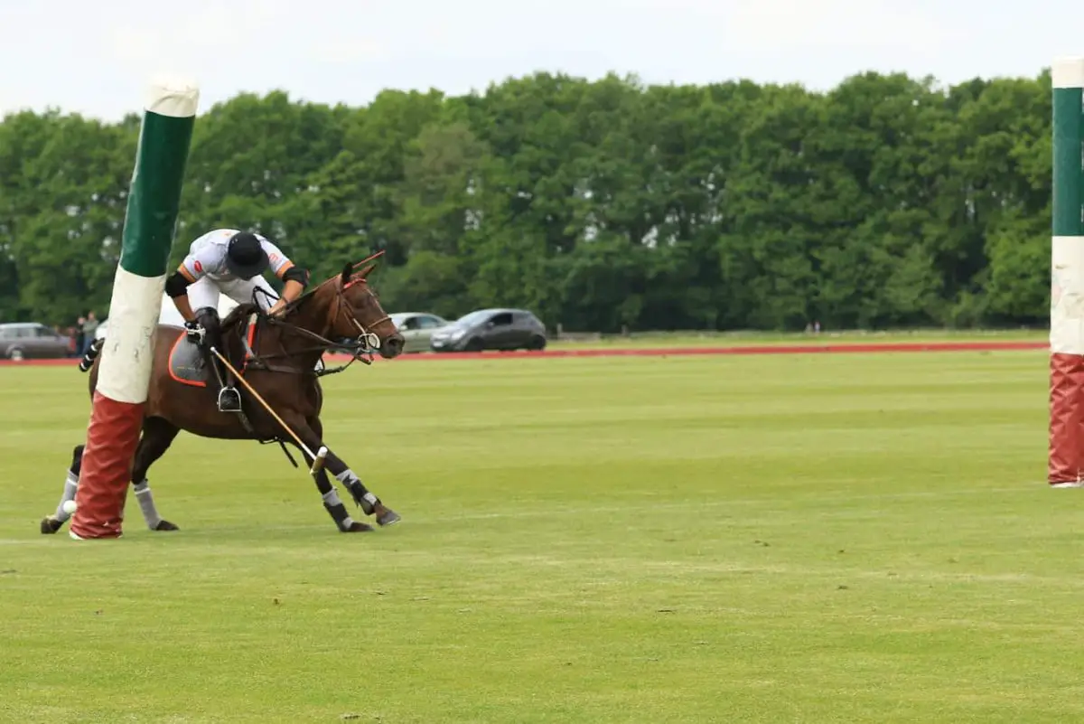 What Is a Polo Goal Called? Polo Goal Rules!
