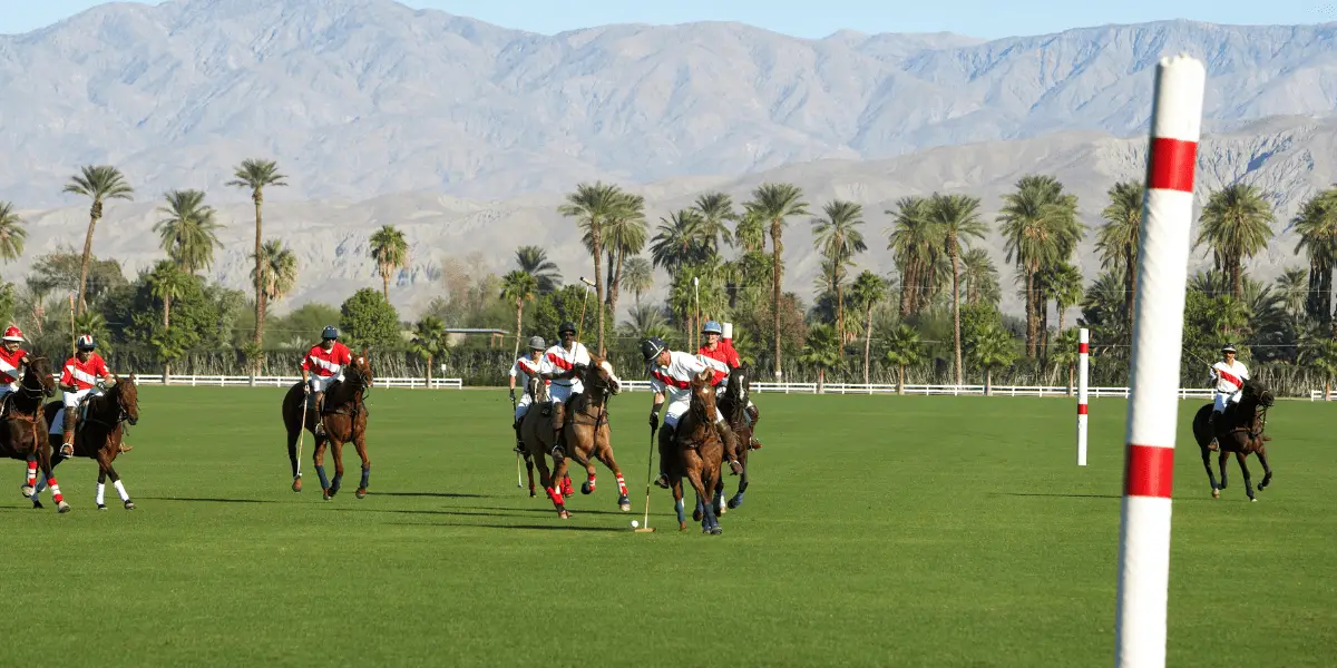 What Is a Polo Pitch Called? The Average Size of Polo Pitch