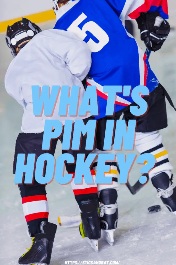 What's PIM In Hockey?